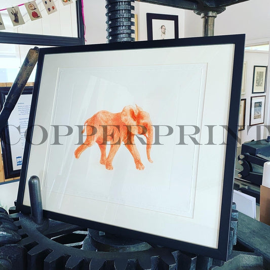 Der orange Elefant gerahmt