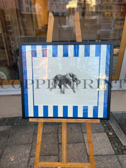 Elefant auf blauen Streifen