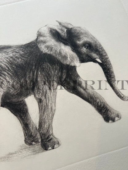 Elefant auf blauen schmalen Streifen