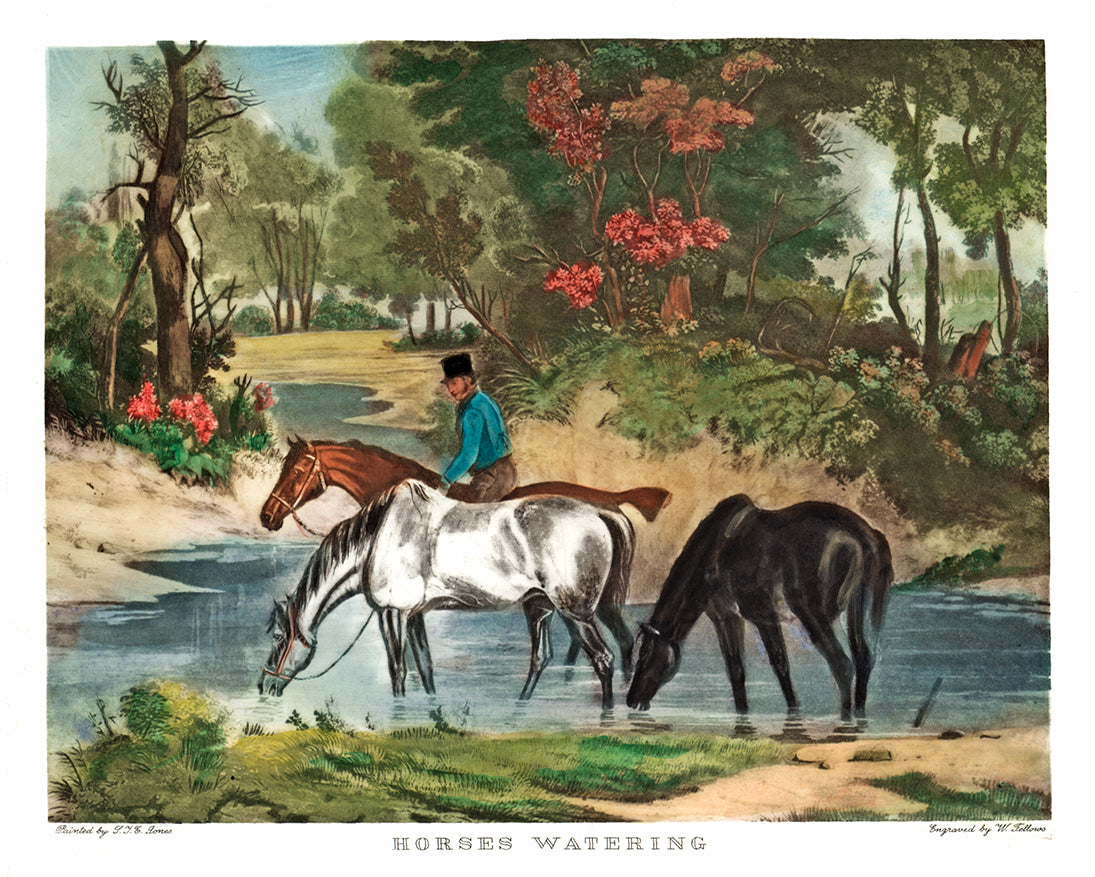 Pferde beim trinken am Fluss Kunstdruck Tiefdruck