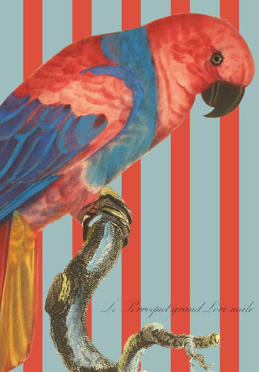 rot blauer Papagei auf Streifenhintergrund Kunstdruck Tiefdruck
