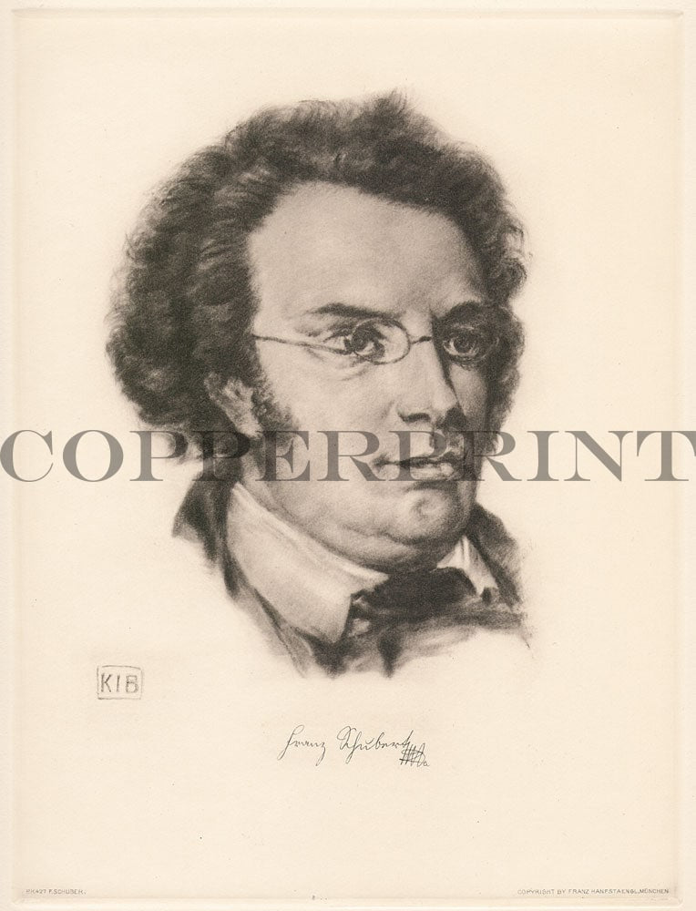 Portrait von Franz Schubert Kunstdruck Tiefdruck
