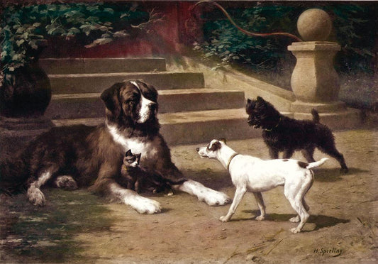 Drei Hund mit Katze vor einer Stiege Kunstdruck Tiefdruck
