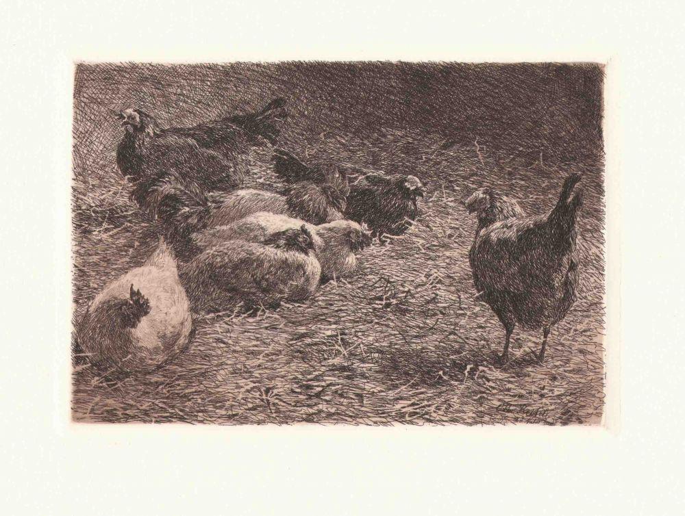 Studie von Hühnern Kunstdruck Tiefdruck
