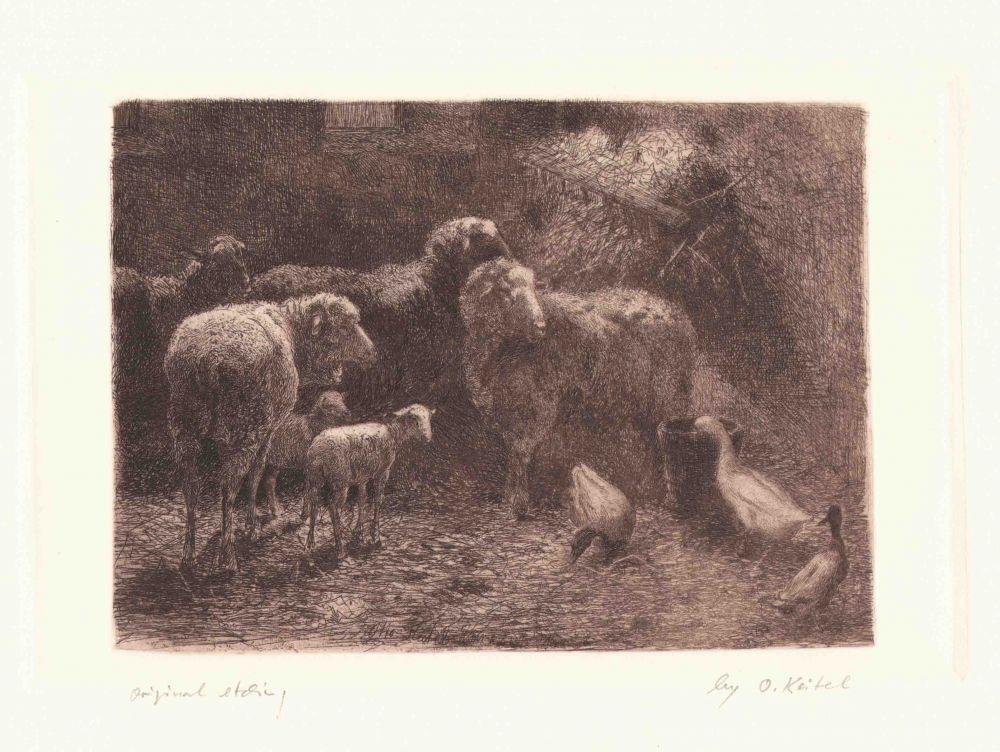 Enten mit Schafen im Schafstall Kunstdruck Tiefdruck