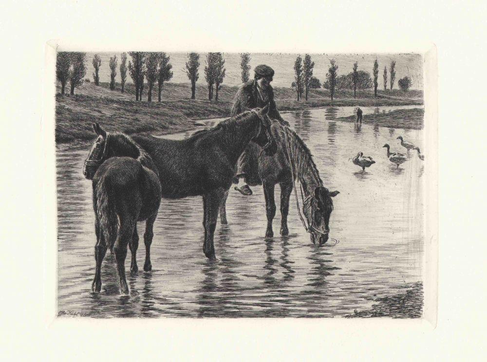 Pferde trinken im Fluss Kunstdruck Tiefdruck