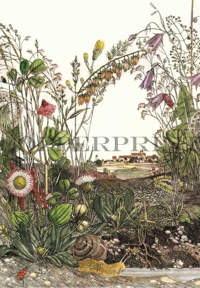 Blumenwiese mit Schnecke Kunstdruck Tiefdruck