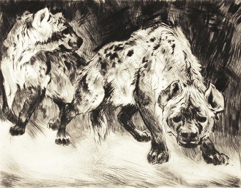 Studie zweier Hyänen Kunstdruck Tiefdruck