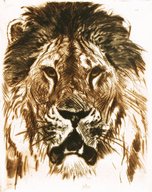 Studie eines  Löwenkopfes Kunstdruck Tiefdruck