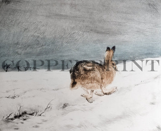 Hase auf der Flucht im Winter Kunstdruck Tiefdruck