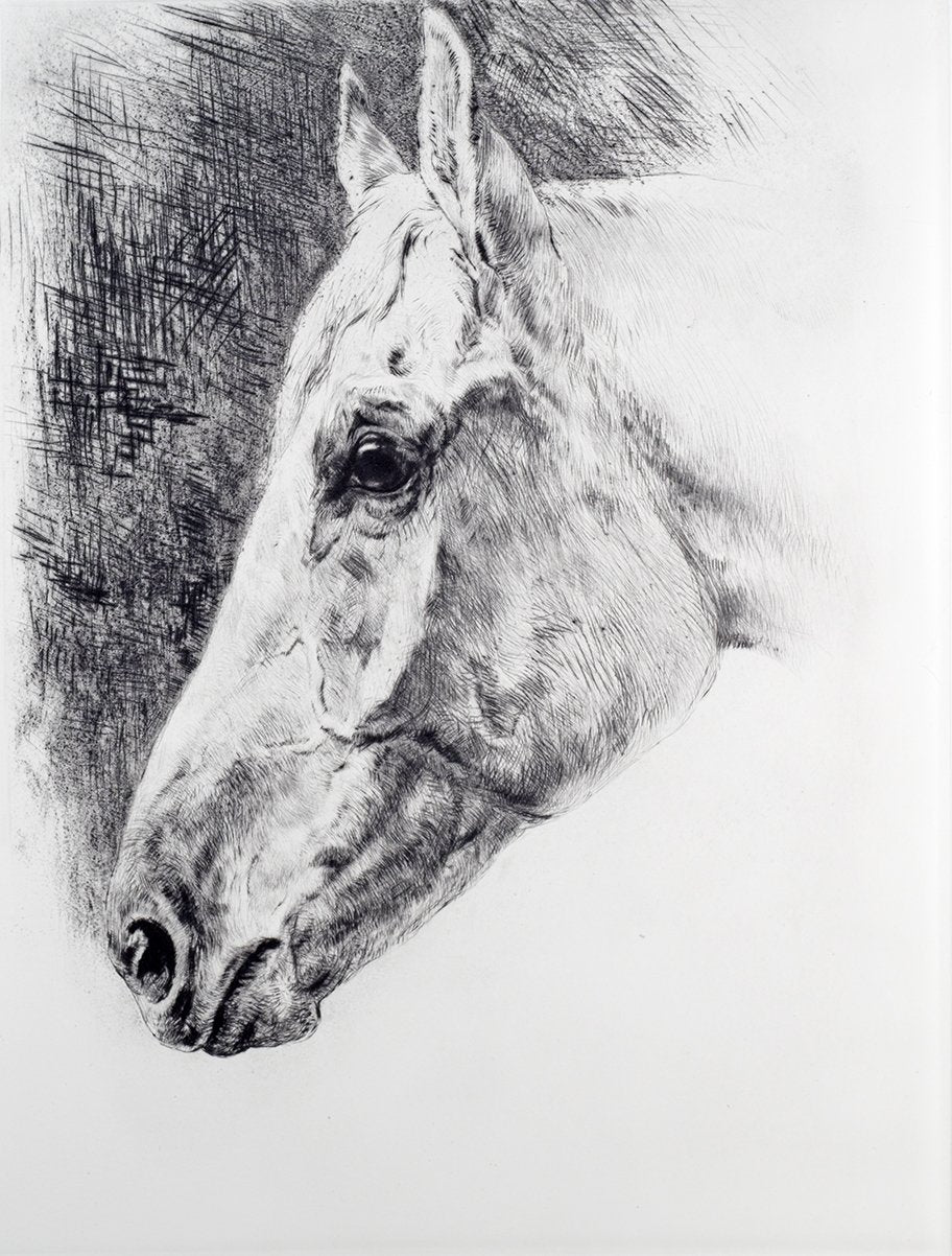 Studie eines weiblichen Pferdekopfes Kunstdruck Tiefdruck