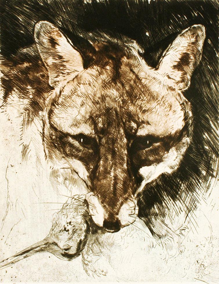 Fuchs mit Schnepfe im Maul Kunstdruck Tiefdruck