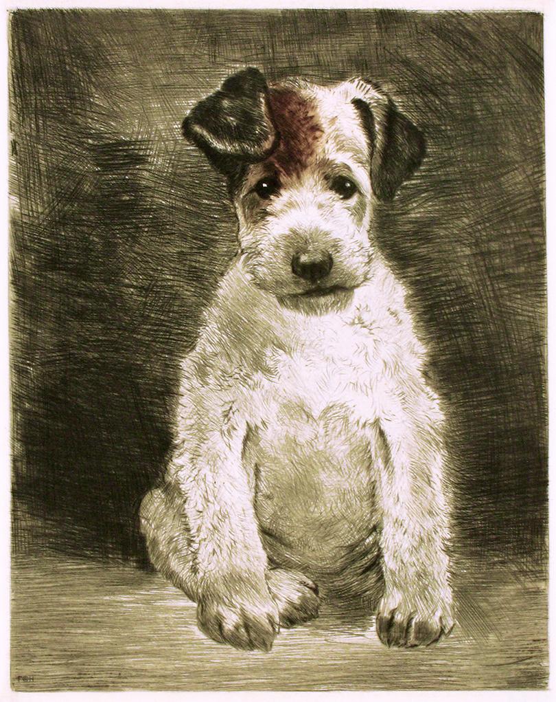 Studie eines sitzenden Terriers Kunstdruck Tiefdruck
