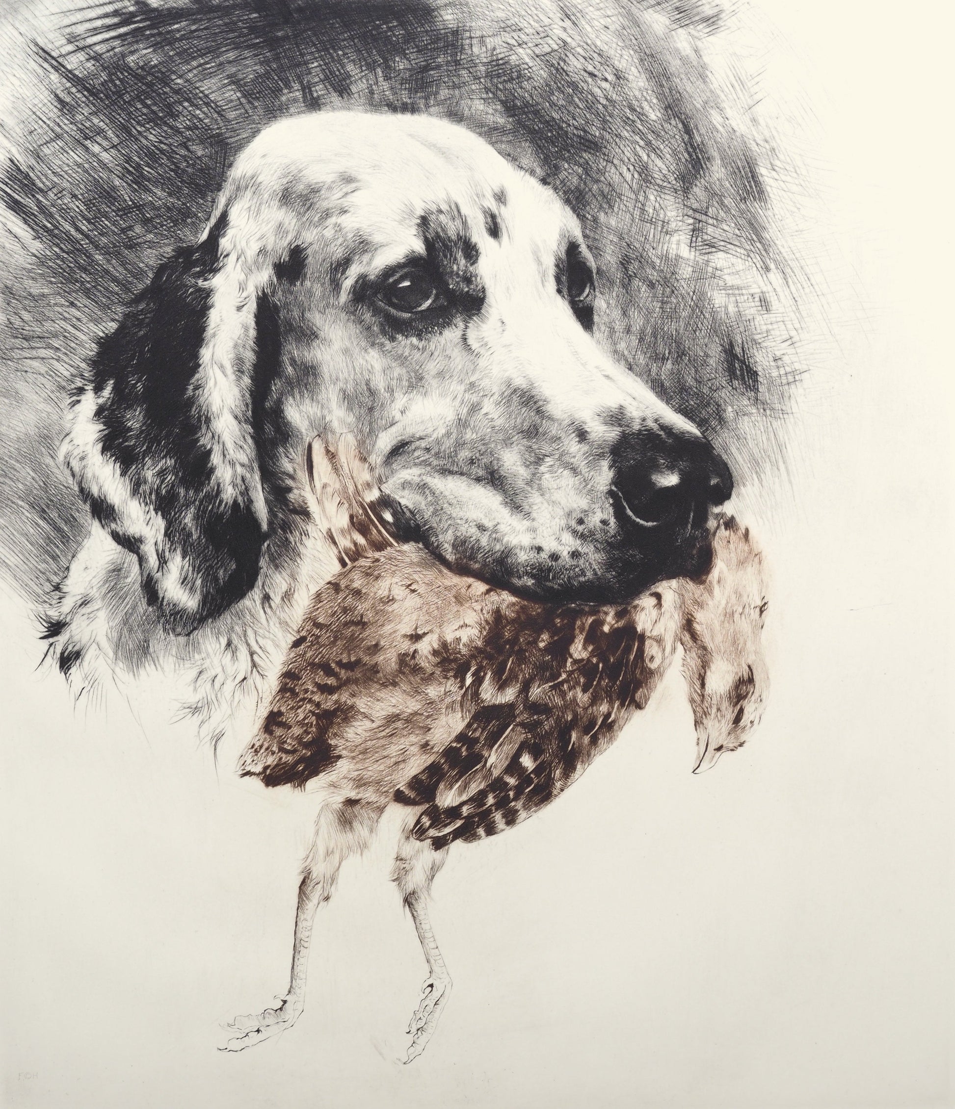 Studie eines Hundekopfes mit Rebhuhn Kunstdruck Tiefdruck