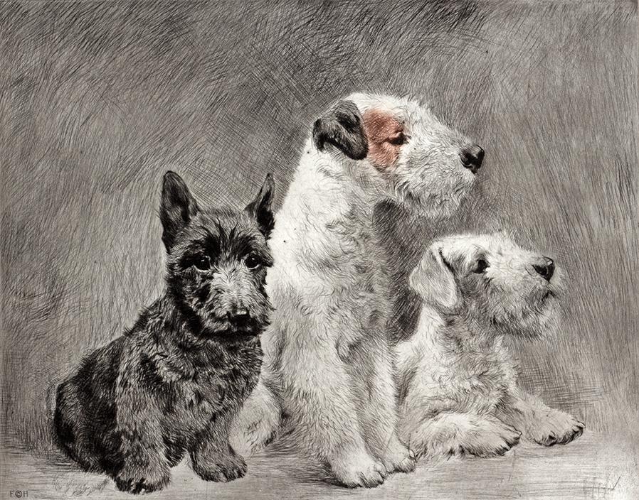 Drei junge Terrier sitzen nebeneinander Kunstdruck Tiefdruck