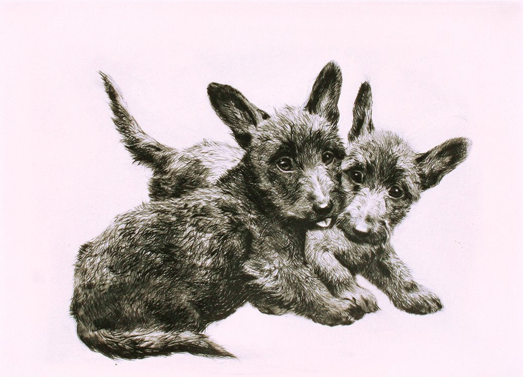 Terrier Hundepaar Kunstdruck Tiefdruck