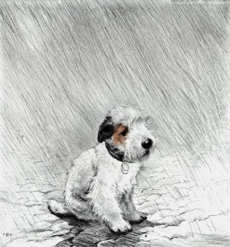 Terrier im Regen sitzend Kunstdruck Tiefdruck