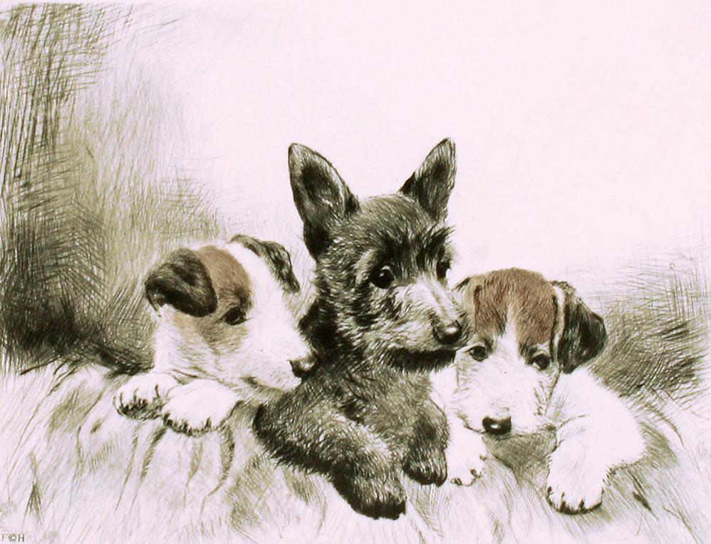 Drei Terrier Hundebabys im Bett Kunstdruck Tiefdruck
