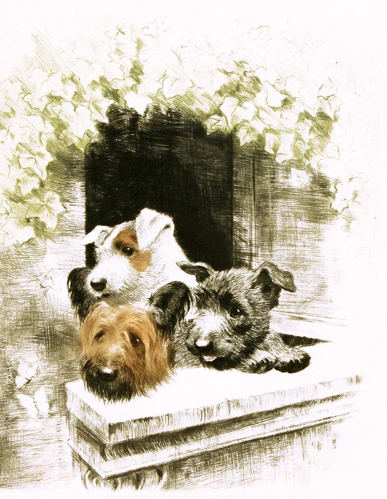drei Hunde auf dem Balkon Kunstdruck Tiefdruck