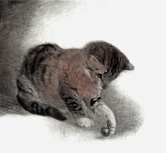 junge Katze beim spielen Kunstdruck Tiefdruck