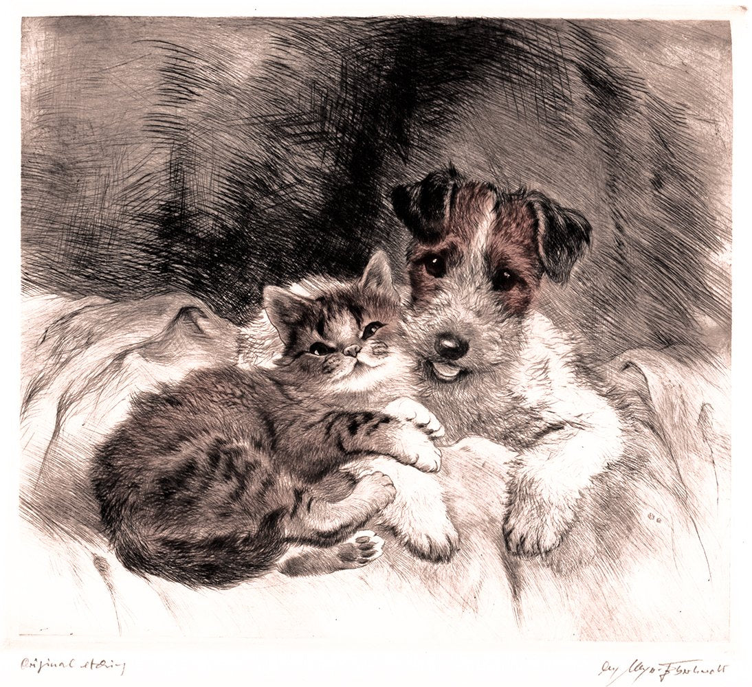 Hund und Katze nebeneinander im Bett Kunstdruck Tiefdruck