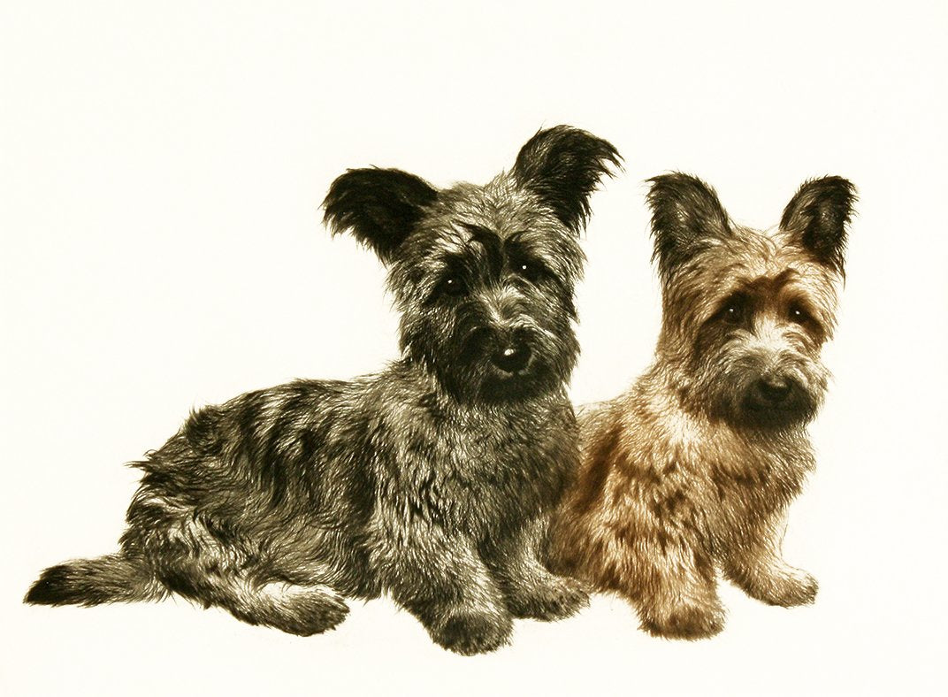 Studie zweier Terrier sitzend Kunstdruck Tiefdruck