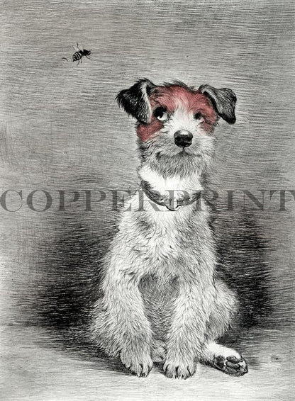Terrier sitzend mit Biene Kunstdruck Tiefdruck