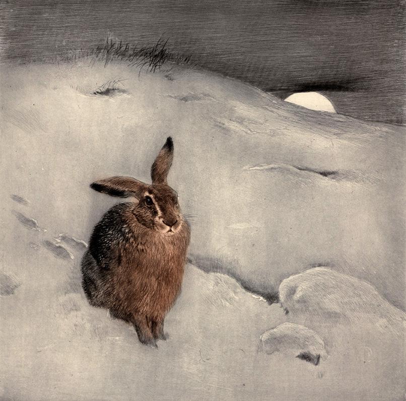 Hase sitzt im Schnee Kunstdruck Tiefdruck