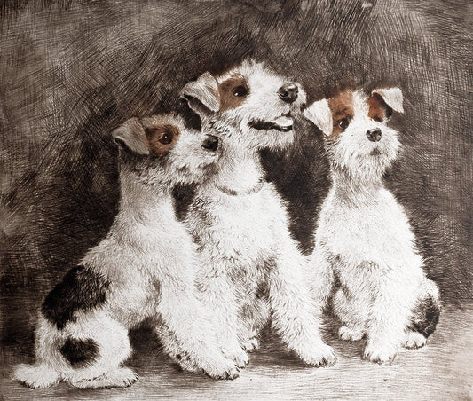 drei Terrier sitzend Kunstdruck Tiefdruck