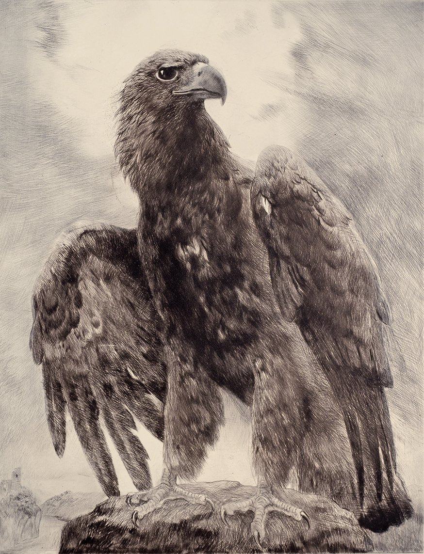  deutscher Adler auf einem Felsen Kunstdruck Tiefdruck