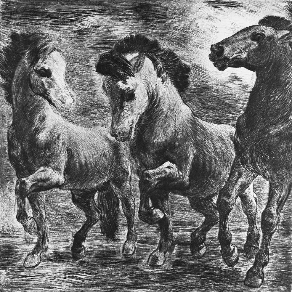 Studie dreier Pferde Kunstdruck Tiefdruck