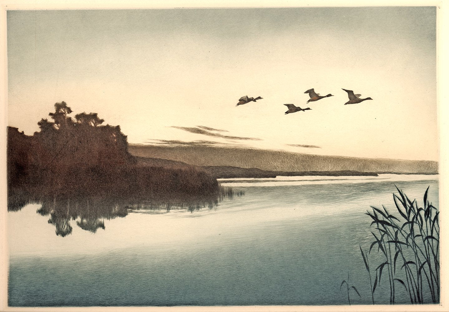 Enten fliegen über See Kunstdruck Tiefdruck