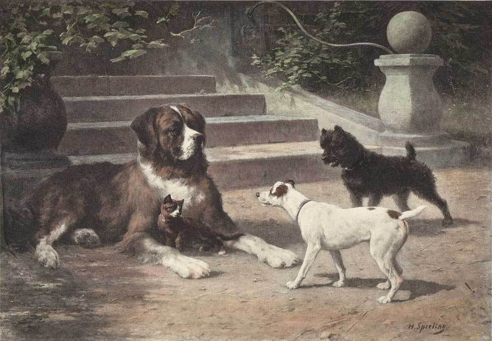 Vier verschiedene Hunde Kunstdruck Tiefdruck