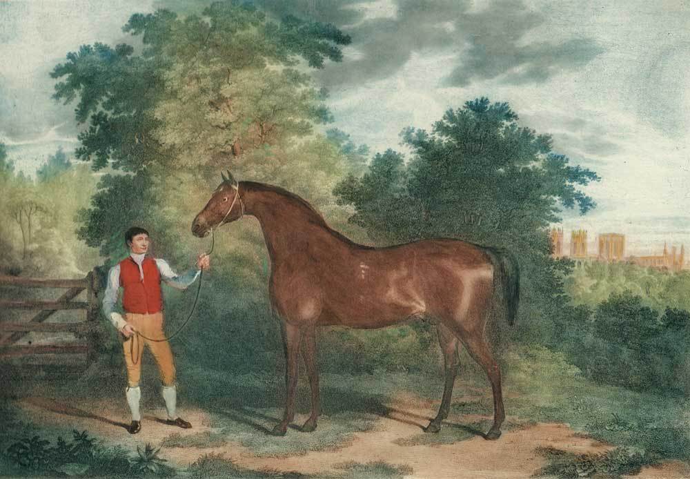 Mann mit Pferd Kunstdruck Tiefdruck