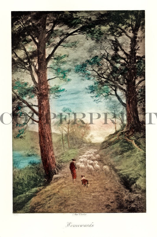 Schafherde auf dem Waldweg Kunstdruck Tiefdruck