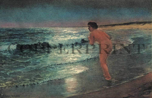 weibliches Aktmodel am Strand am Abend Kunstdruck Tiefdruck