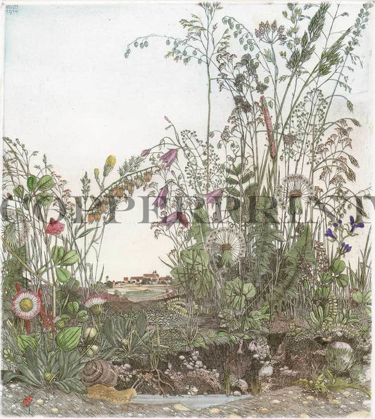 Studie von Wiesenblumen Kunstdruck Tiefdruck
