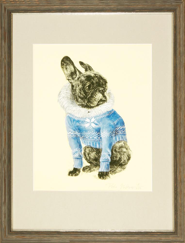 Bulldogge im blauen Pullover Kunstdruck Tiefdruck